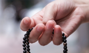 Một lòng niệm Phật