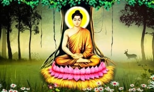 Bài kinh: Đức Phật dạy cách chọn trú xứ chọn thầy để tu học
