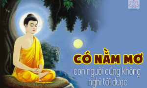 Có nằm mơ con người cũng không nghĩ tới được