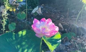 Biết mình biết người
