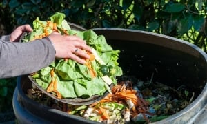 Hoang phí thức ăn là tự làm tiêu hao phước báu của mình