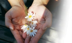 Lấy tình thương làm lẽ sống