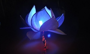 Những “đóa sen” ở chùa Ninh Tảo - Hà Nam