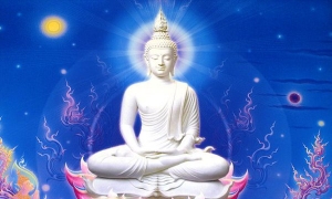 Nhân quả và số phận con người (P.2)