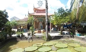 Nét đẹp riêng biệt của chùa Sen Nia
