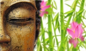 Nghiệp và thấy biết sai lầm (P.3)