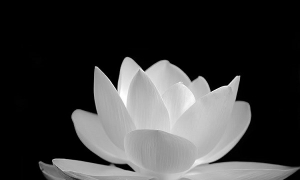 An táng người đã khuất