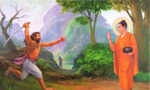 “Angulimala có khả năng dừng lại thì chúng ta cũng có khả năng dừng lại”