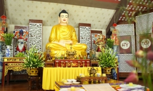 Phôi thai bị hỏng thì có cần cầu siêu?