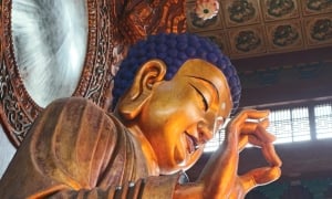 Cầu có được như nguyện?