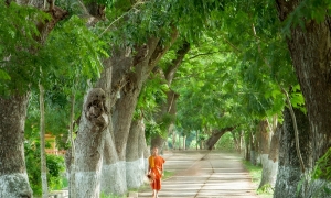 'Chùa hàng còng' - Vẻ đẹp giản dị vùng Bảy Núi An Giang