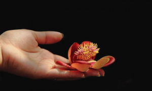 Con đang trải nghiệm đau khổ, bất an của cuộc đời thì phải làm gì để thoát ra?