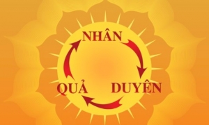 Duyên khởi như một hàm số toán học