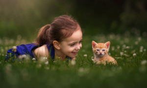 Hạnh phúc từ đâu đến?