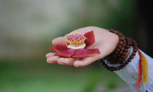 Học hỏi từ các khó khăn và thử thách