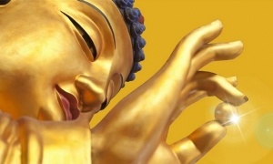 Năm giới là tiếng nói của yêu thương