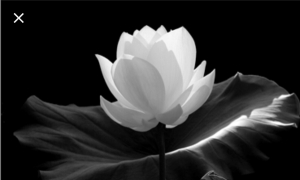 Tìm lại người thân đã mất