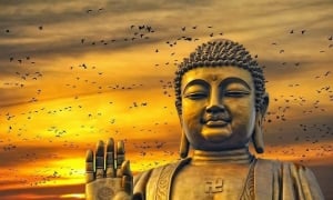 “Mọi thứ đều không mang theo được, chỉ có nghiệp theo mình”