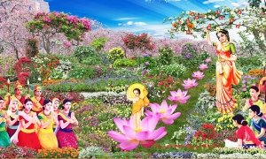 Lời dạy của Đức Phật về dấu ấn 'Đản sinh'