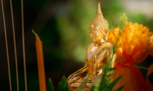 Người tích chứa điều thiện, phước đức tự có dư