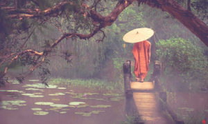 Pháp tu 'dừng một phút'