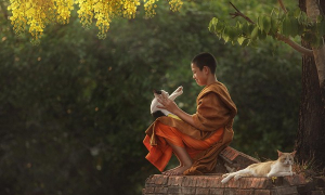 Lòng từ bi trong tu tập đạo Phật