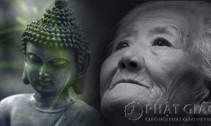 Phụng dưỡng cha mẹ như thế nào mới được phước lớn?