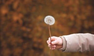 Số mạng do ai?