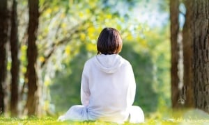 Sự khác nhau giữa “chấp trước” và “tinh tấn”