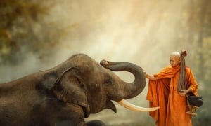 Thế nào là hiện báo, sanh báo và hậu báo?