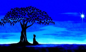 Thiền định - dưỡng chất chuyển hóa thân tâm