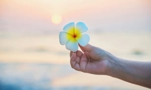 Thứ nhất giữ “miệng”, thứ nhì giữ “tâm” đời sống được an vui
