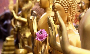 Vun bồi Phật tính trong đời sống doanh nhân