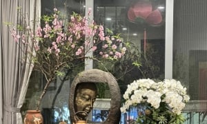 Tràn ngập hương Xuân