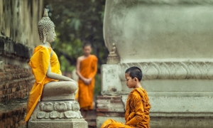 Học cách điều phục tâm theo lời Phật dạy