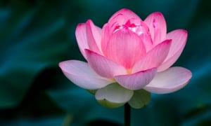 Đừng vội vàng trách một ai đó